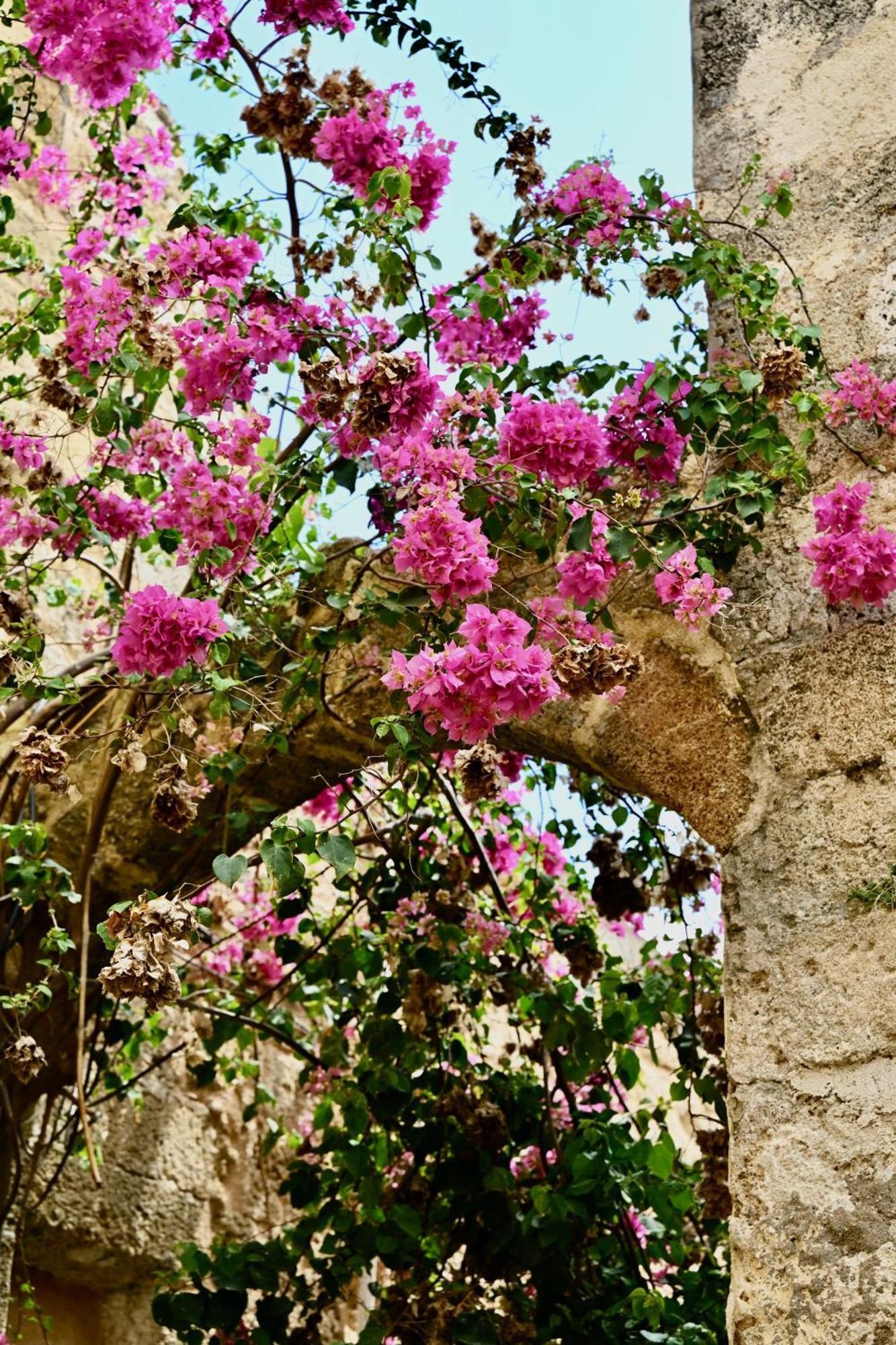 Rhodes City Penelope Garden House Old Town 아파트 외부 사진
